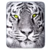 White Tiger Raschel Throw, (50" X 60")