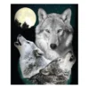 Raschel Gray & Dark Blue Wolves Throw, (50" X 60")