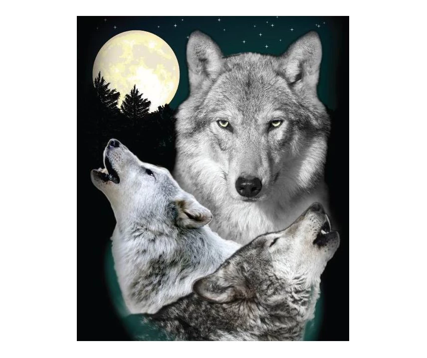 Raschel Gray & Dark Blue Wolves Throw, (50" X 60") 1 Raschel Gray & Dark Blue Wolves Throw, (50" X 60")