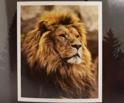 Brown Lion Raschel Throw, (50" X 60")