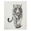 Ivory & Black White Tiger Fleece Raschel Throw, (50" X 60")